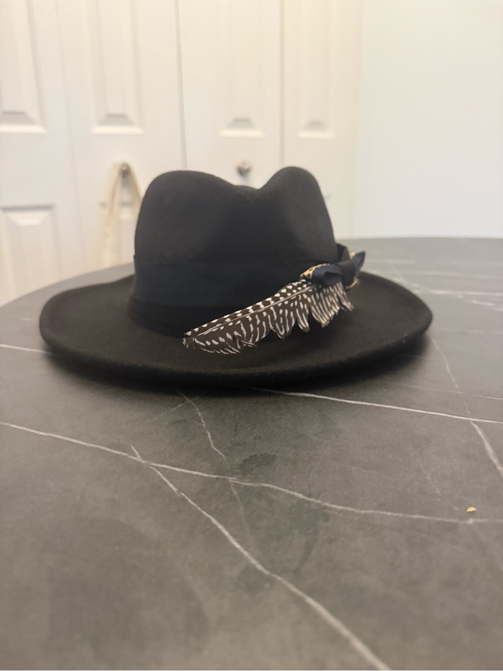 Black Wool Fedora with Feather Trim